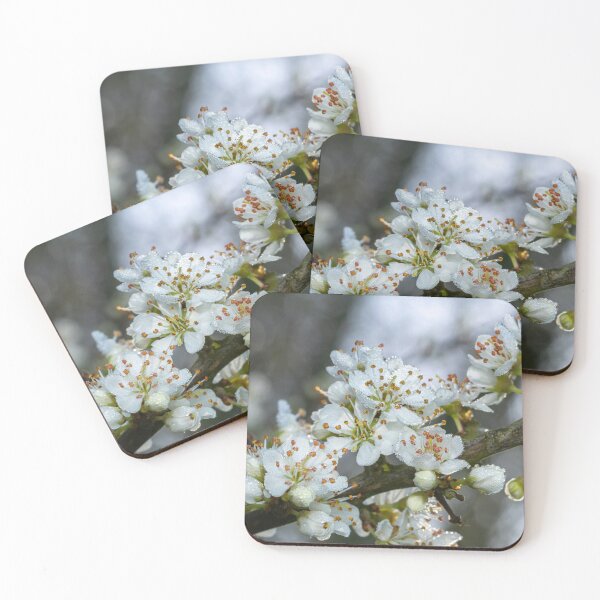 Item preview, Blossoms with Morning Dew - British Spring Botanical Fine Art Photography designed and sold by Johnathan Robinson Photography.