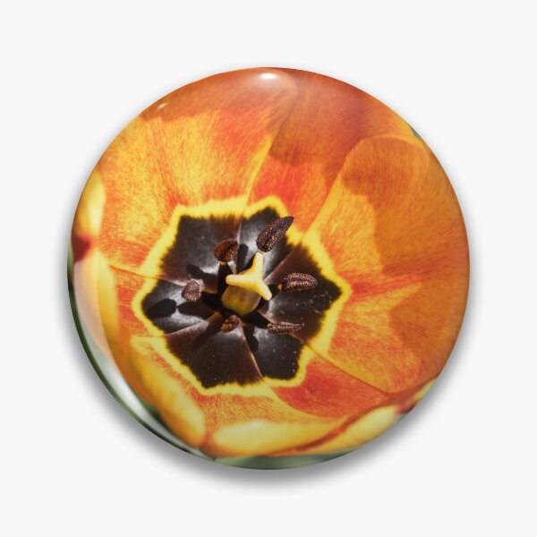 Item preview, Bright Orange Tulip with Intricate Petal Markings designed and sold by Georgia Mizuleva.