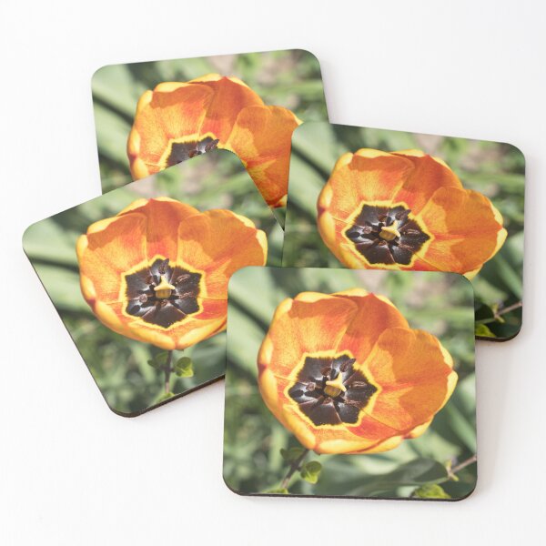 Item preview, Bright Orange Tulip with Intricate Petal Markings designed and sold by Georgia Mizuleva.