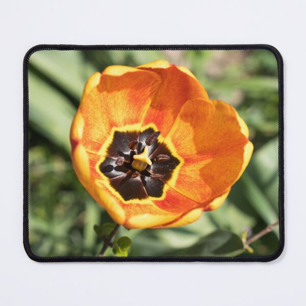 Item preview, Bright Orange Tulip with Intricate Petal Markings designed and sold by Georgia Mizuleva.