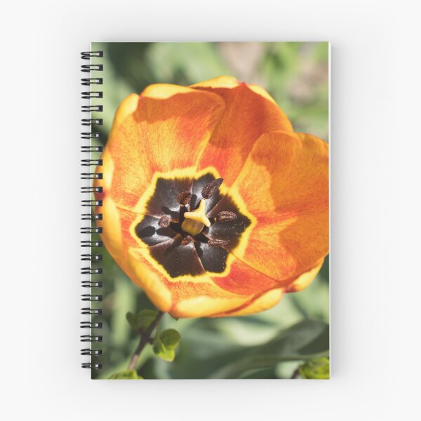 Item preview, Bright Orange Tulip with Intricate Petal Markings designed and sold by Georgia Mizuleva.