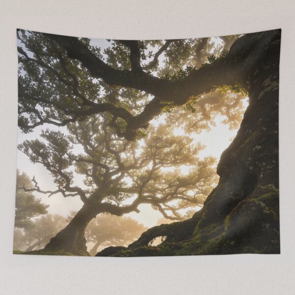 Item preview, Forest in color designed and sold by T's&such.