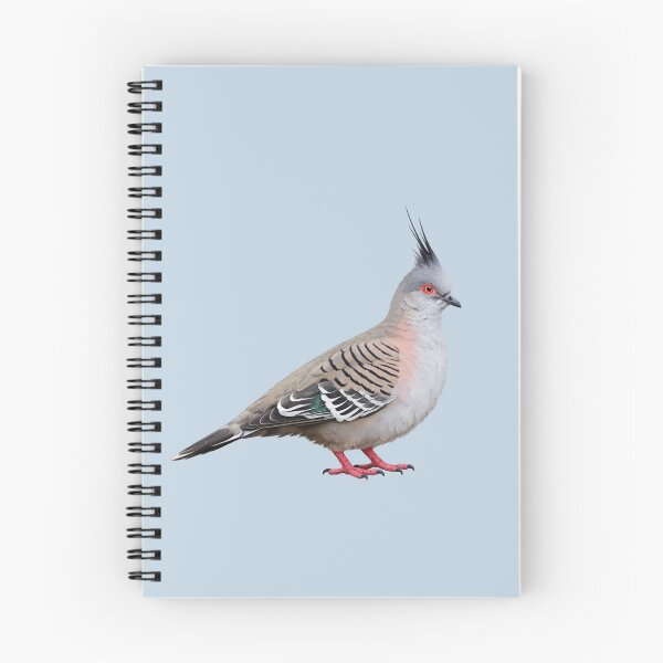 Item preview, Crested Pigeon designed and sold by Poplartree.