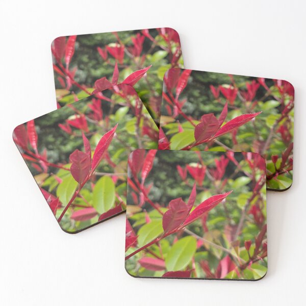 Item preview, Red robin designed and sold by Dynasticnow.