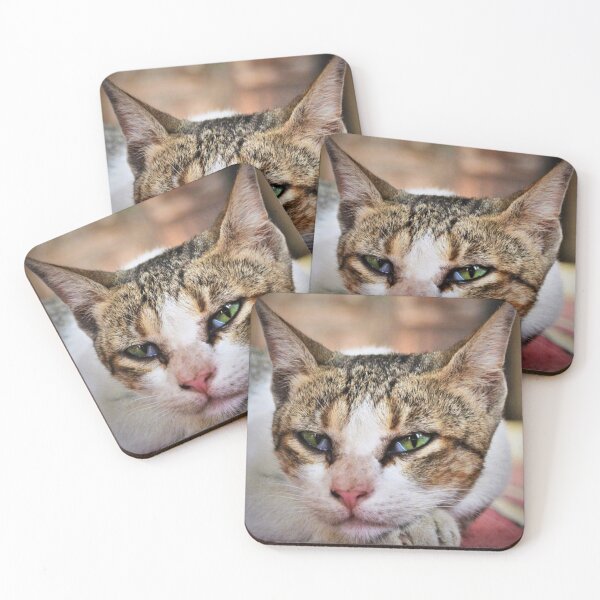 Item preview, Cat friend  designed and sold by Darsh-Lines.