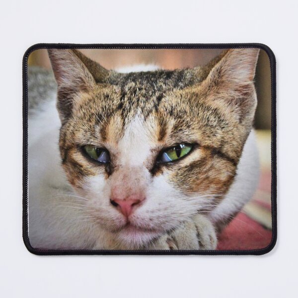 Item preview, Cat friend  designed and sold by Darsh-Lines.