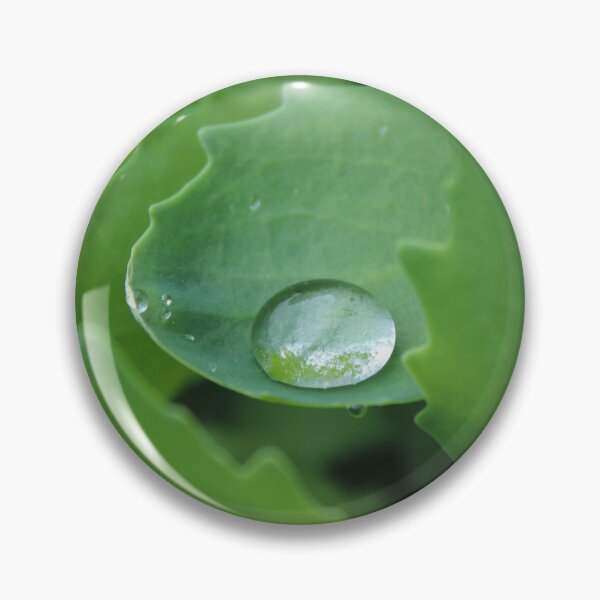 Item preview, Waterdrop on a leaf close up - Soft nature photography designed and sold by Cha-s-lens.