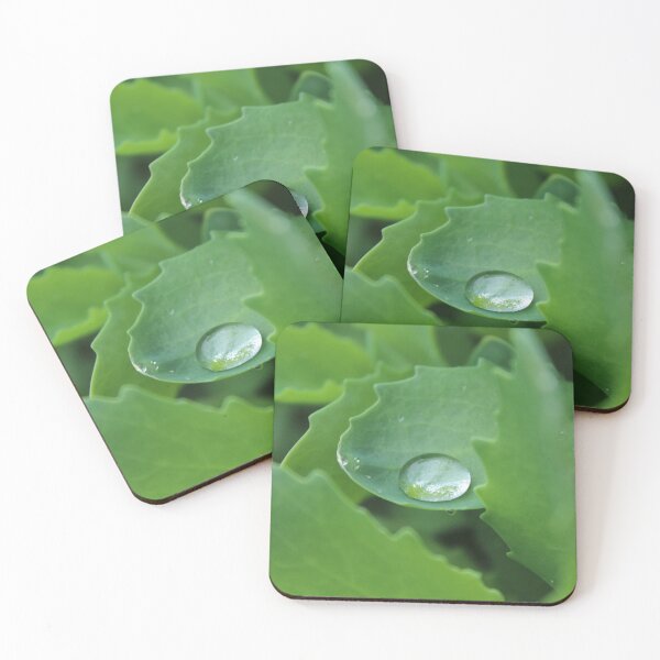 Item preview, Waterdrop on a leaf close up - Soft nature photography designed and sold by Cha-s-lens.