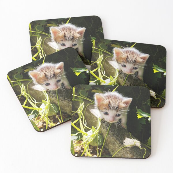 Item preview, Cute Newborn Kitten in Nature designed and sold by inspiration3.