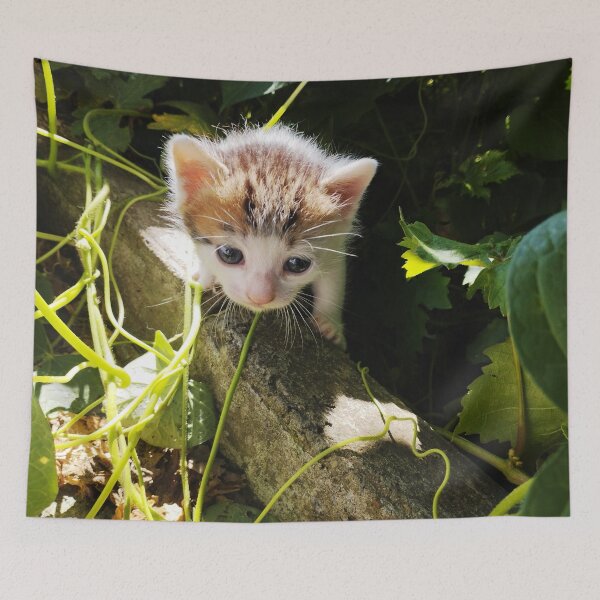 Item preview, Un adorable gatito recién nacido en la naturaleza. designed and sold by inspiration3.