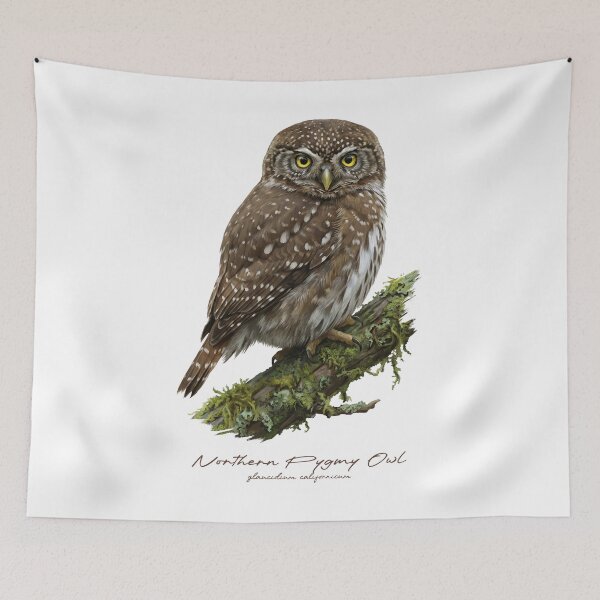 Item preview, Northern Pygmy Owl on Mossy Tree designed and sold by Takeda-art.