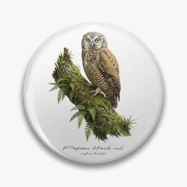 Item preview, Papuan Hawk-owl on Mossy Tree designed and sold by Takeda-art.