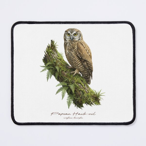 Item preview, Papuan Hawk-owl on Mossy Tree designed and sold by Takeda-art.