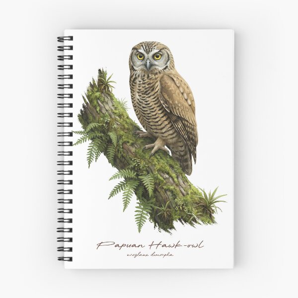 Item preview, Papuan Hawk-owl on Mossy Tree designed and sold by Takeda-art.