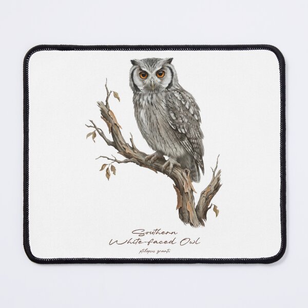 Item preview, Southern White-faced Owl on Rustic Branch designed and sold by Takeda-art.