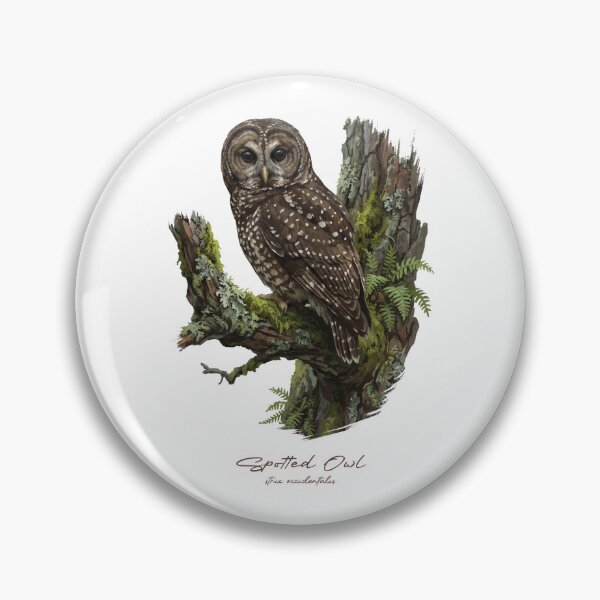 Item preview, Spotted Owl on Mossy Tree designed and sold by Takeda-art.