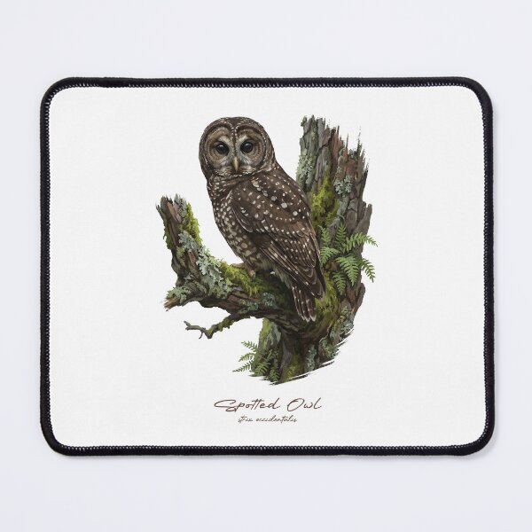 Item preview, Spotted Owl on Mossy Tree designed and sold by Takeda-art.