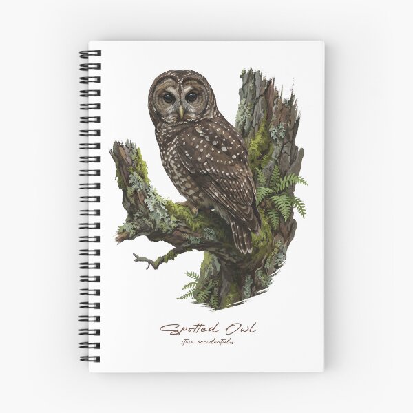 Item preview, Spotted Owl on Mossy Tree designed and sold by Takeda-art.