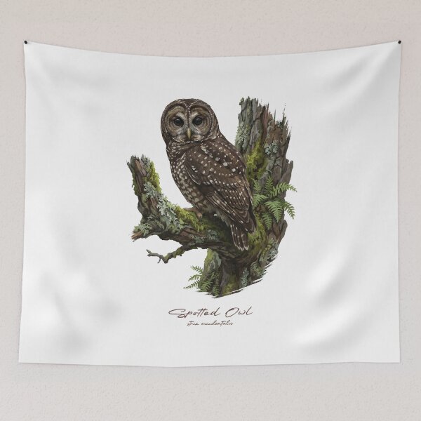 Item preview, Spotted Owl on Mossy Tree designed and sold by Takeda-art.