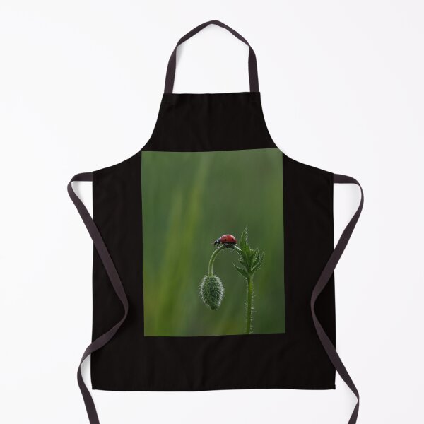 Item preview, Ladybug Resting on Wild Plant Bud designed and sold by onubi.
