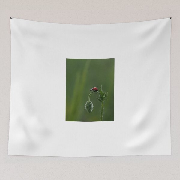 Item preview, Ladybug Resting on Wild Plant Bud designed and sold by onubi.