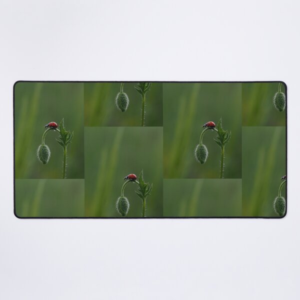 Item preview, Ladybug Resting on Wild Plant Bud designed and sold by onubi.