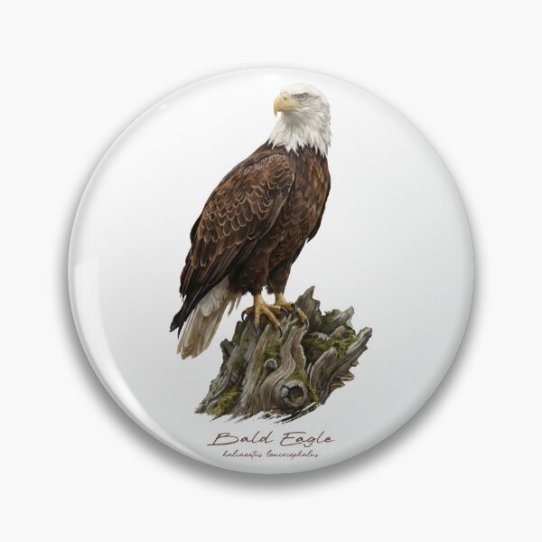 Item preview, Bald Eagle on Mossy Stump designed and sold by Takeda-art.