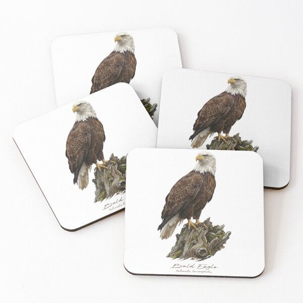 Item preview, Bald Eagle on Mossy Stump designed and sold by Takeda-art.