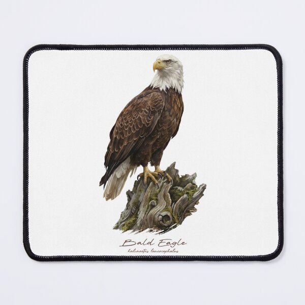 Item preview, Bald Eagle on Mossy Stump designed and sold by Takeda-art.