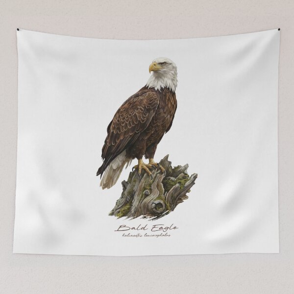 Item preview, Bald Eagle on Mossy Stump designed and sold by Takeda-art.