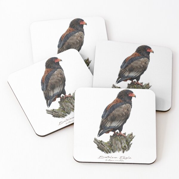 Item preview, Bateleur Eagle on Mossy Stump designed and sold by Takeda-art.