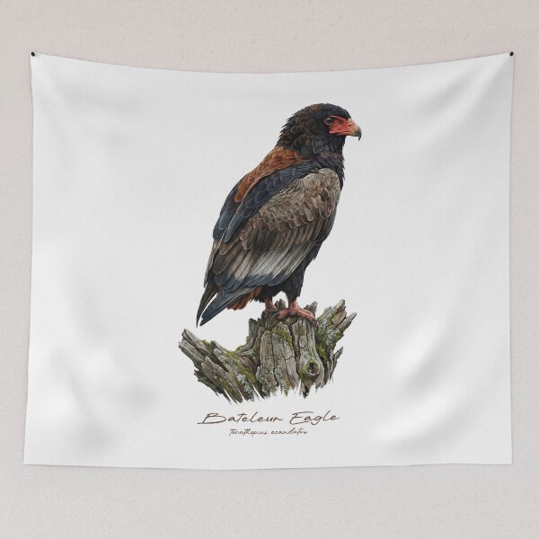 Item preview, Bateleur Eagle on Mossy Stump designed and sold by Takeda-art.