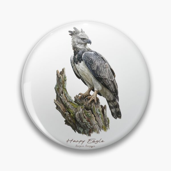 Item preview, Harpy Eagle on Mossy Stump designed and sold by Takeda-art.