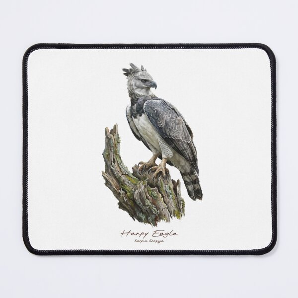 Item preview, Harpy Eagle on Mossy Stump designed and sold by Takeda-art.