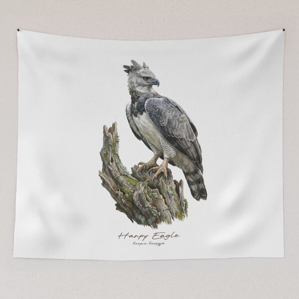 Item preview, Harpy Eagle on Mossy Stump designed and sold by Takeda-art.