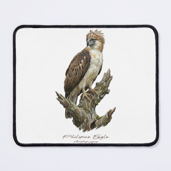 Item preview, Philipine Eagle on Mossy Tree designed and sold by Takeda-art.