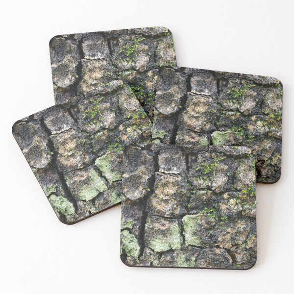 Item preview, Tree Bark Texture with Moss and Lichen designed and sold by onubi.