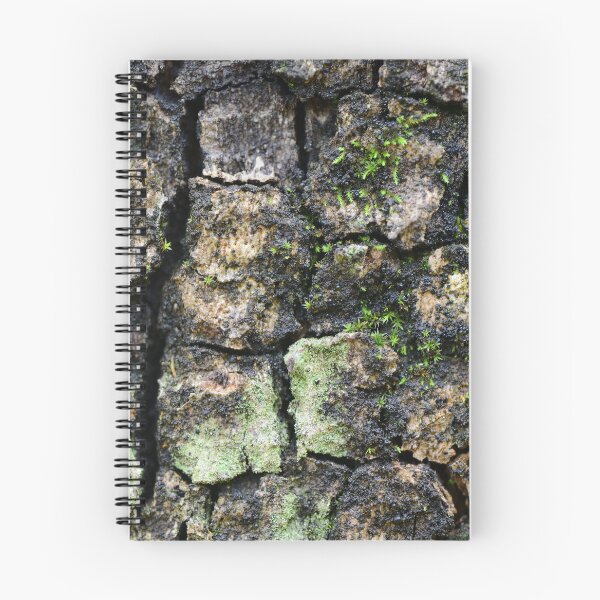 Item preview, Tree Bark Texture with Moss and Lichen designed and sold by onubi.