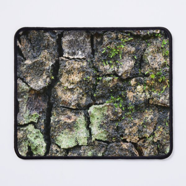 Item preview, Tree Bark Texture with Moss and Lichen designed and sold by onubi.