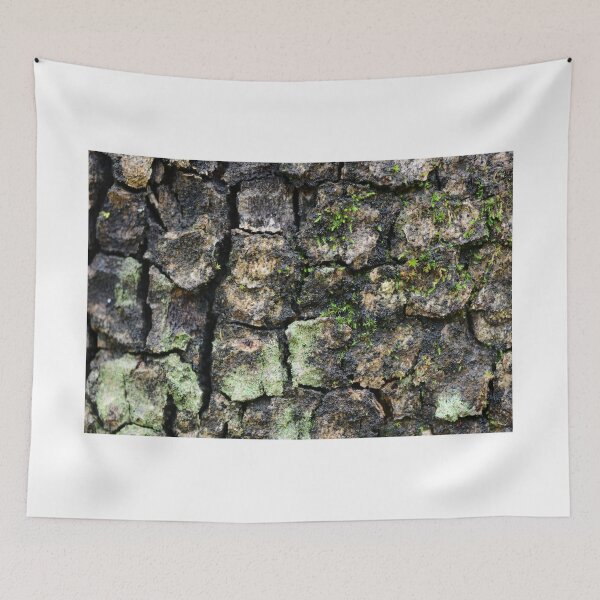 Item preview, Tree Bark Texture with Moss and Lichen designed and sold by onubi.