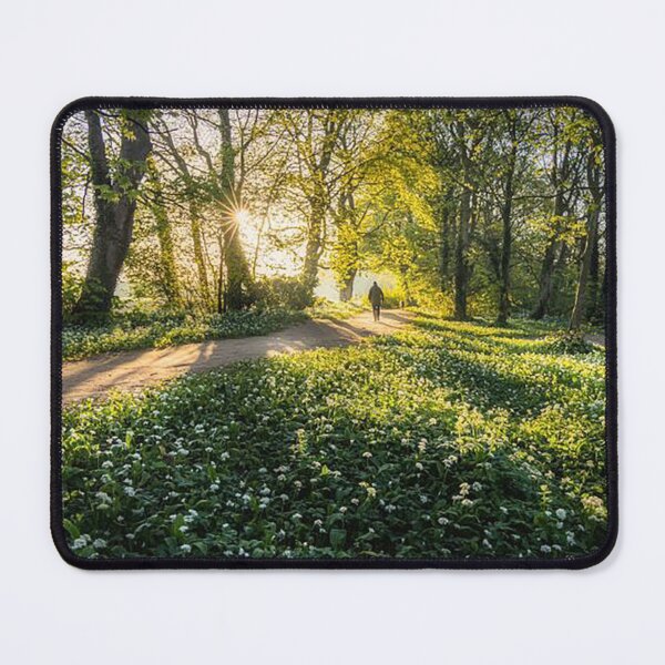 Item preview, Woodland Scene Near River Tees, Darlington designed and sold by Martin Stokes Photography.