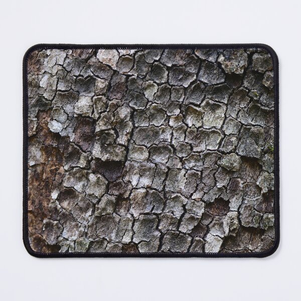 Item preview, Cracked Tree Bark Natural Texture Background designed and sold by onubi.