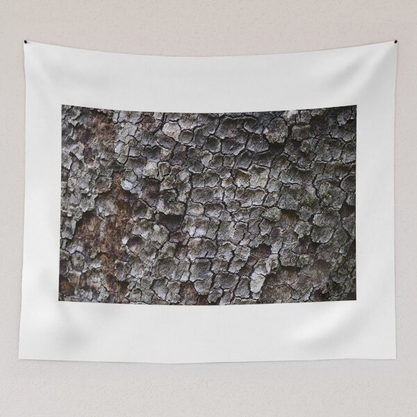 Item preview, Cracked Tree Bark Natural Texture Background designed and sold by onubi.