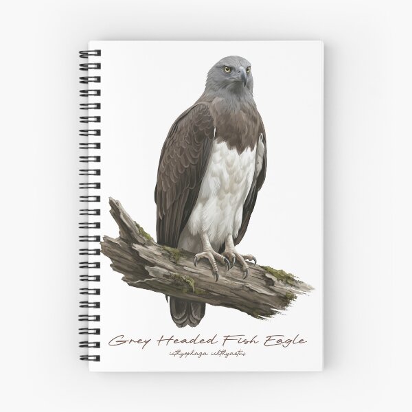 Item preview, Grey Headed Fish Eagle on Branch designed and sold by Takeda-art.