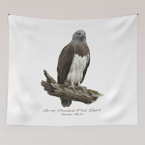 Item preview, Grey Headed Fish Eagle on Branch designed and sold by Takeda-art.