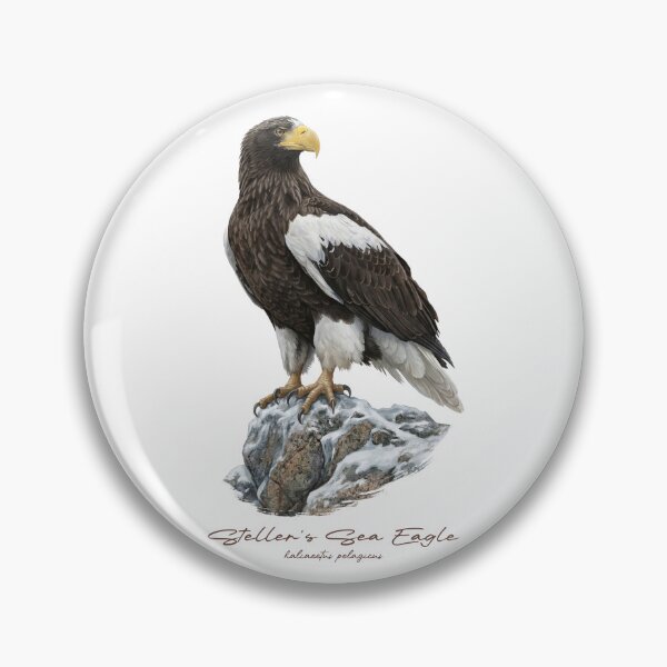 Item preview, Steller's Sea Eagle on Snow Covered Rock designed and sold by Takeda-art.