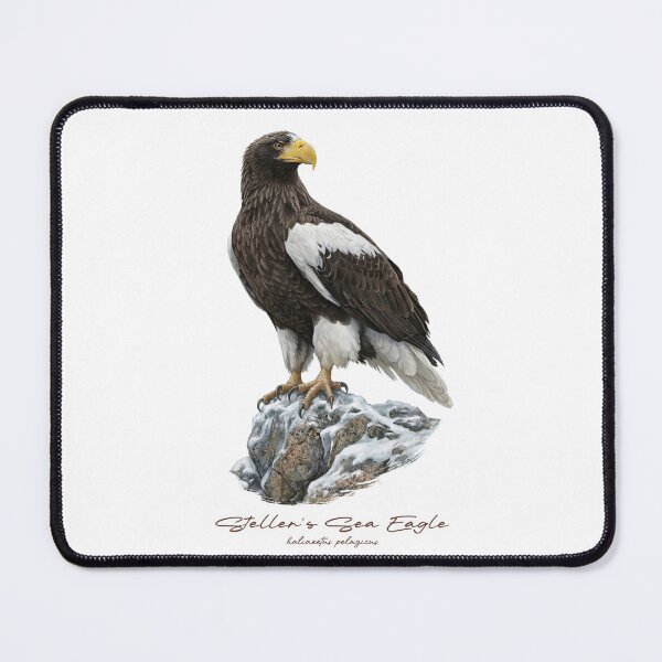 Item preview, Steller's Sea Eagle on Snow Covered Rock designed and sold by Takeda-art.