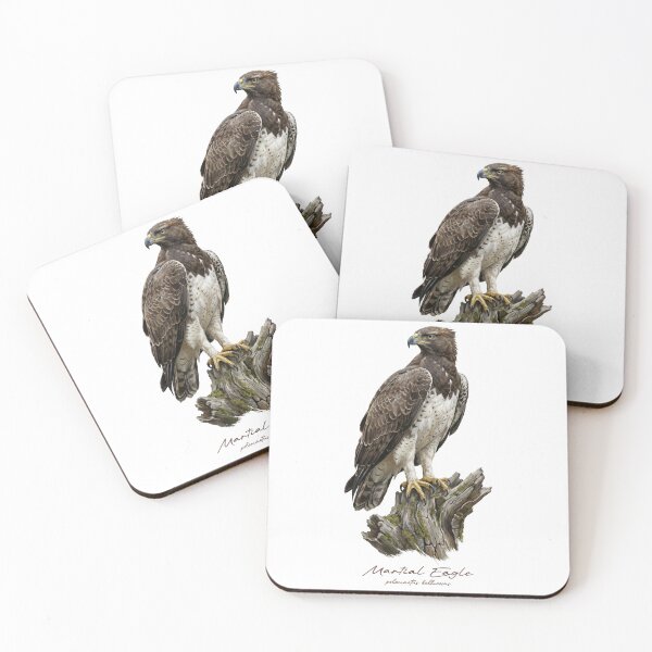 Item preview, Martial Eagle on Mossy Stump designed and sold by Takeda-art.