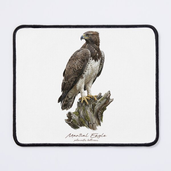Item preview, Martial Eagle on Mossy Stump designed and sold by Takeda-art.