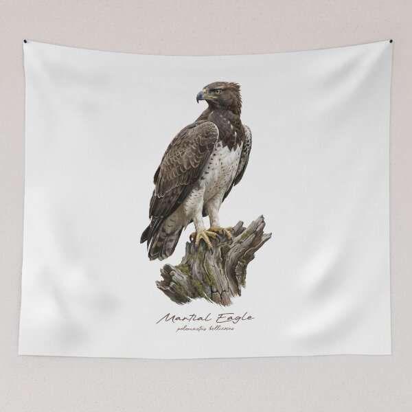 Item preview, Martial Eagle on Mossy Stump designed and sold by Takeda-art.
